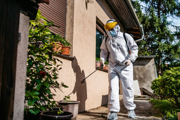 Best Local Pest Control Services  in Berry Creek, CA