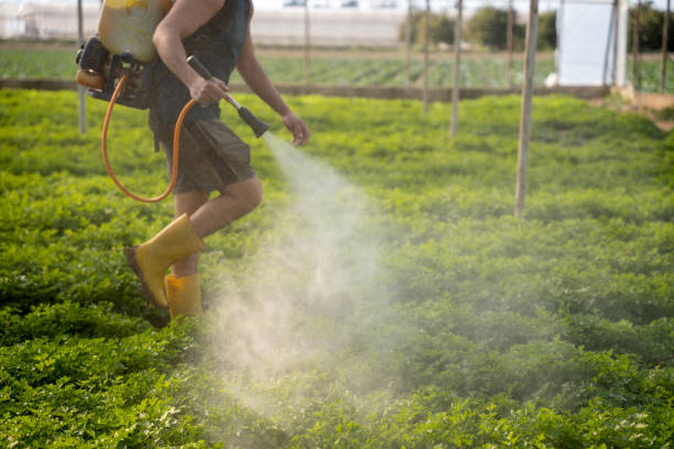Best Affordable Pest Control Services  in Berry Creek, CA