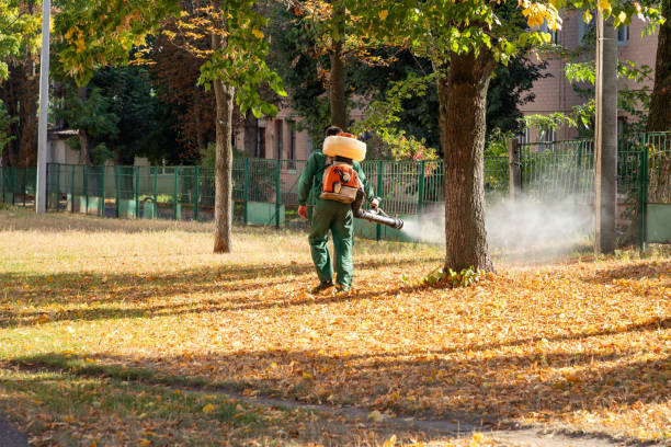 Best Pest Inspection Near Me  in Berry Creek, CA