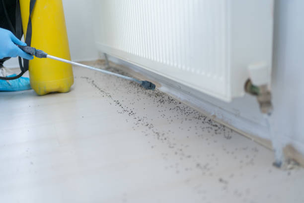 Best Pest Prevention Services  in Berry Creek, CA