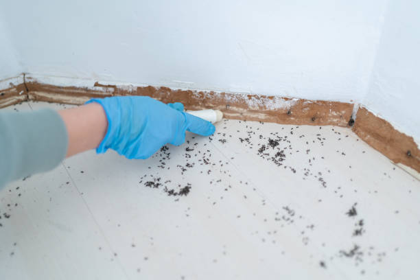 Best Cockroach Control Services  in Berry Creek, CA