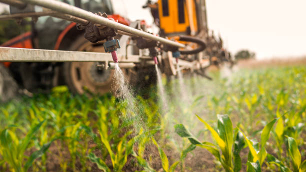 Best Mosquito Control Services  in Berry Creek, CA