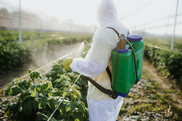 Professional Pest Control in Berry Creek, CA